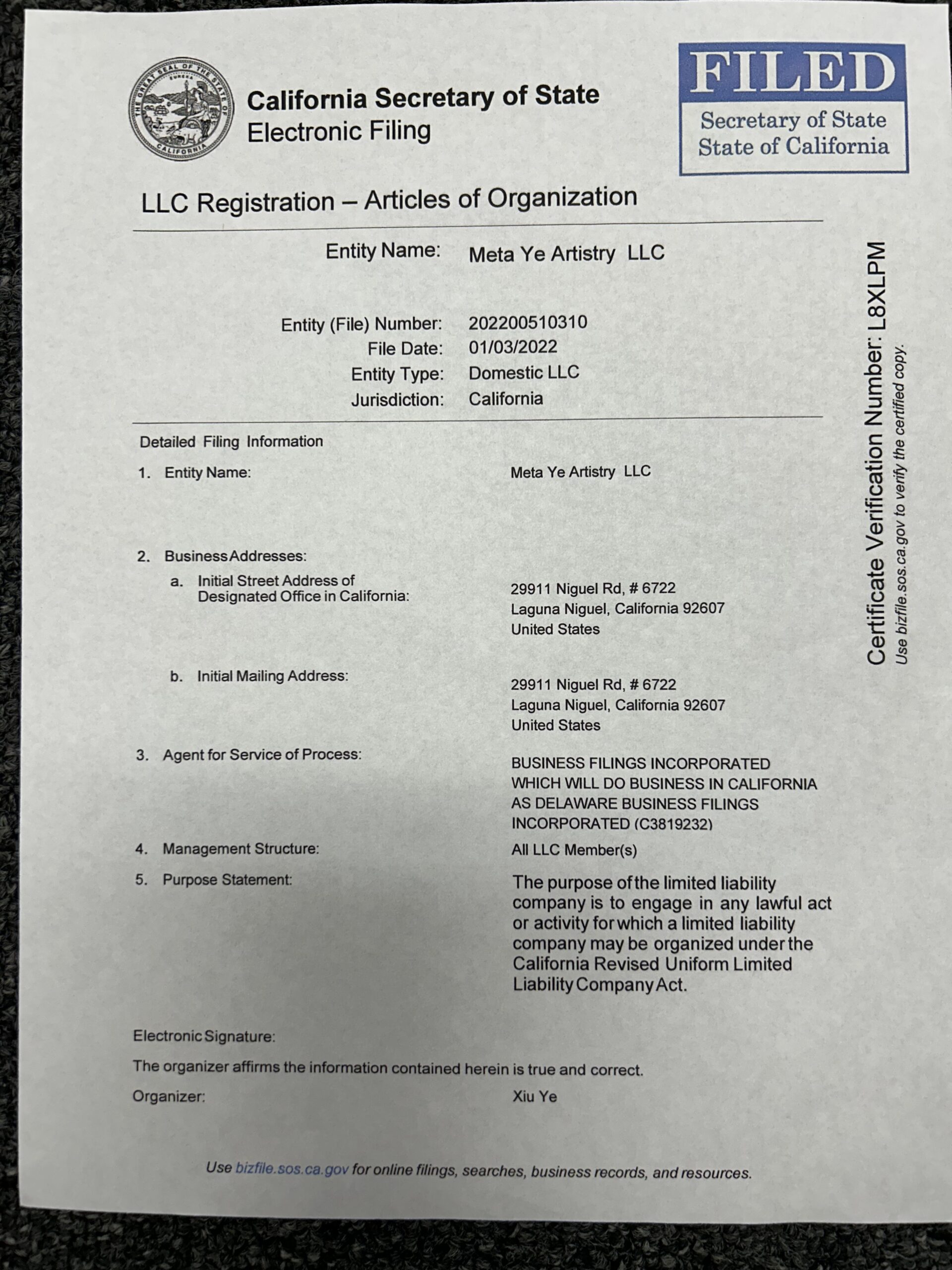 LLC-registration-scaled-2